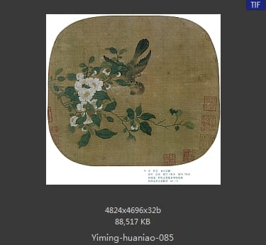 雀山茶图