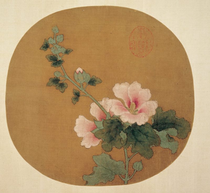 蜀葵