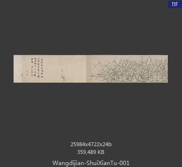 王迪简-水仙图残卷 分段1