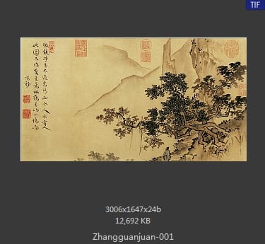张观卷-山林清趣图