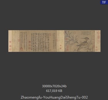赵孟頫-幽篁戴胜图 分段2