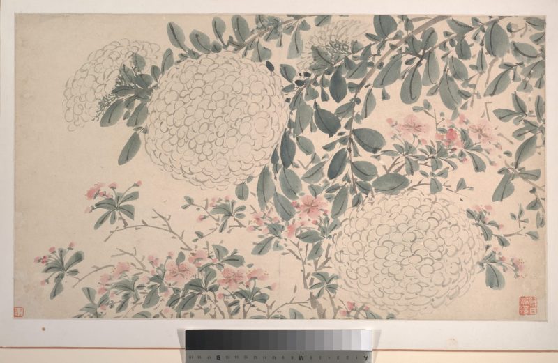 花卉 02