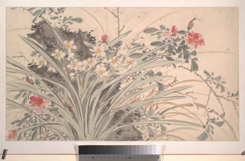 花卉 06
