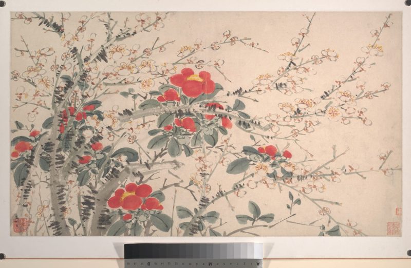花卉 07