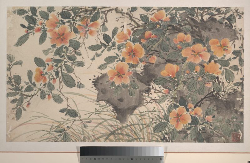 花卉 09