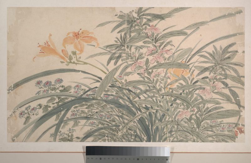 花卉 10