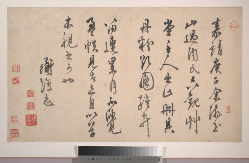 花卉 12