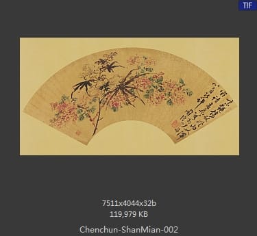 陈淳-扇面