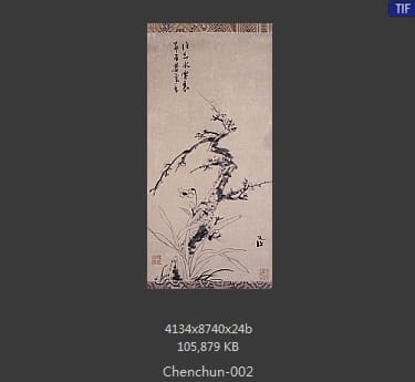 陈淳-梅花水仙图