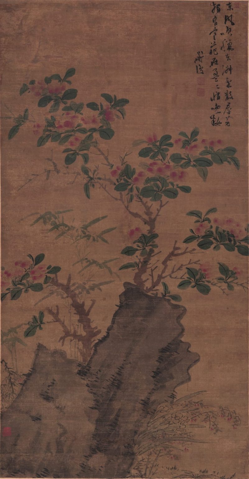 着色花卉图