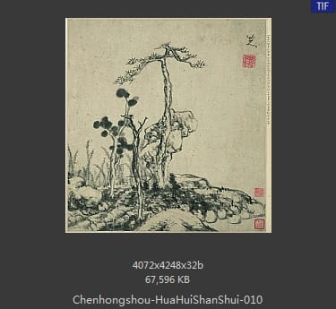 陈洪绶-花卉山水 07