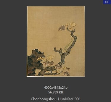 陈洪绶-花鸟 01