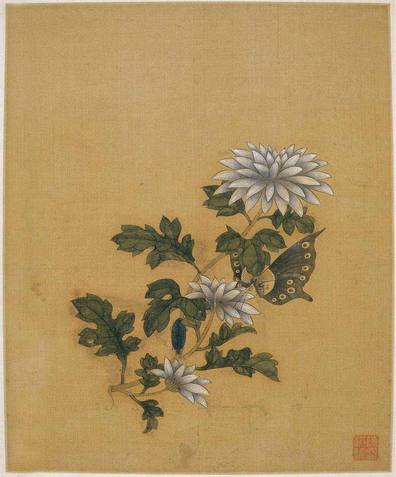 花鸟 02