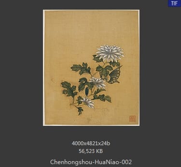 陈洪绶-花鸟 02