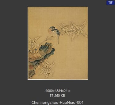 陈洪绶-花鸟 04