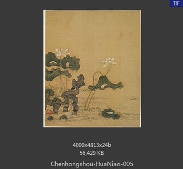 陈洪绶-花鸟 05