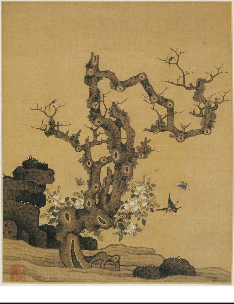 花鸟 07