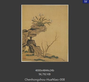 陈洪绶-花鸟 08