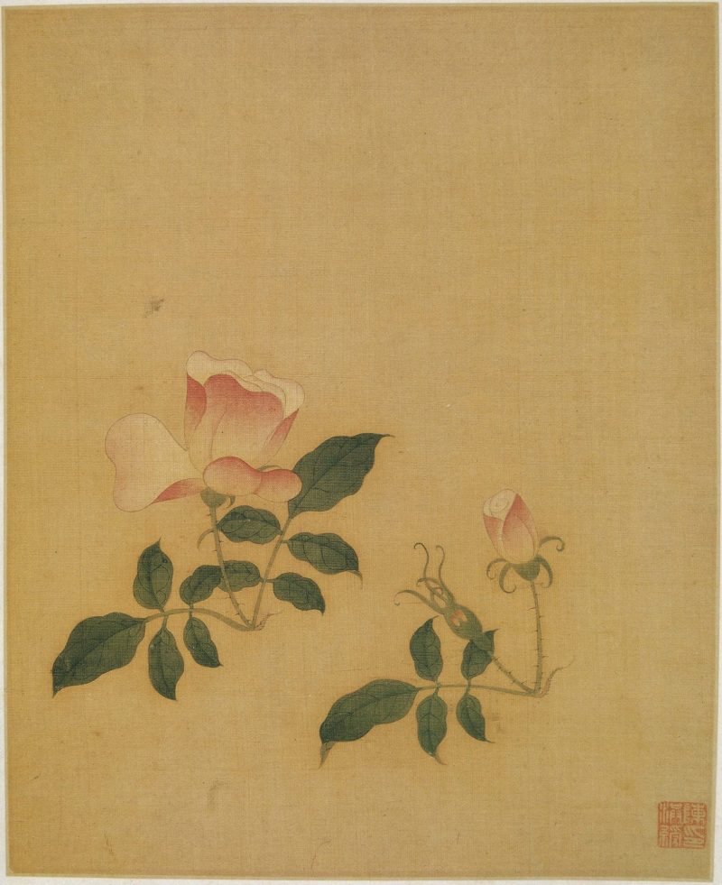 花鸟 09