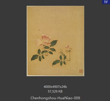 陈洪绶-花鸟 09