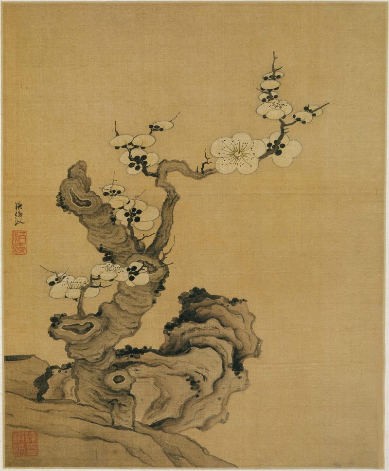 花鸟 10