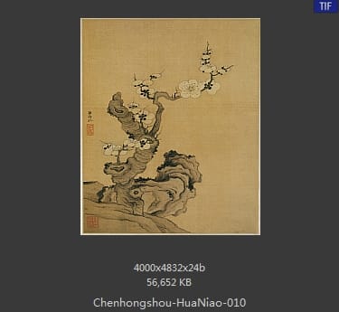 陈洪绶-花鸟 10