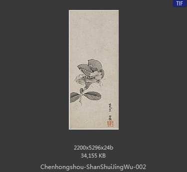 陈洪绶-山水物件花卉 02