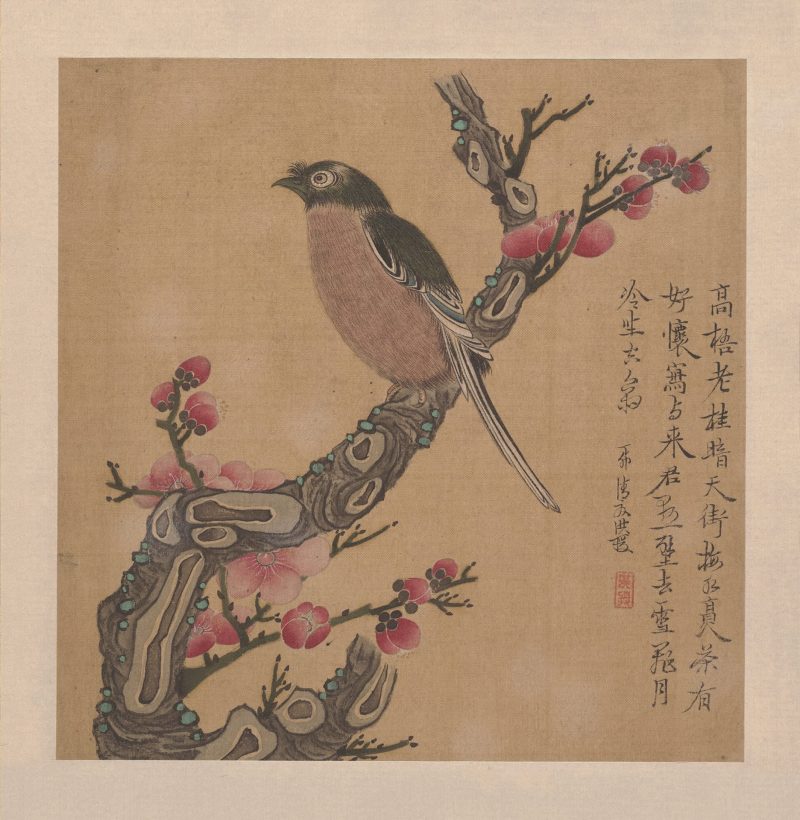 梅花小鸟