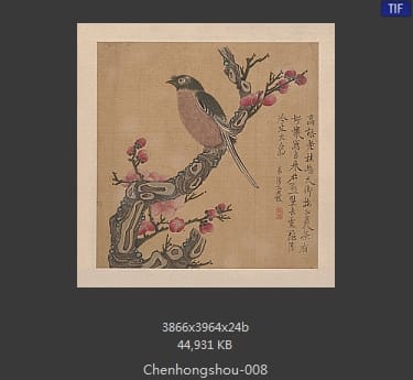 陈洪绶-梅花小鸟