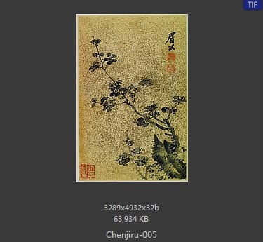 陈继儒-书画合册-05
