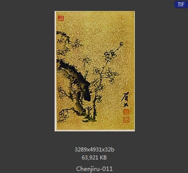 陈继儒-书画合册-11