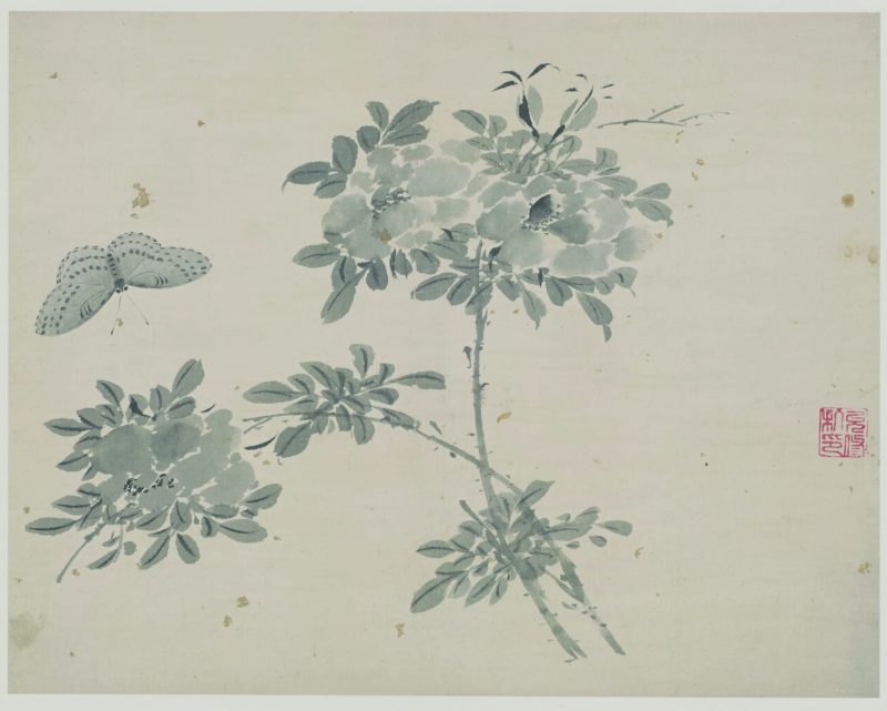 花蝶草虫 01