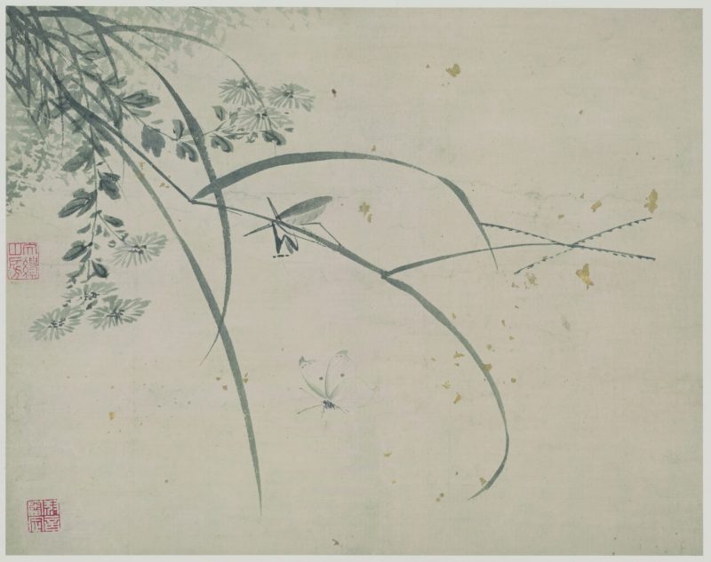 花蝶草虫 03