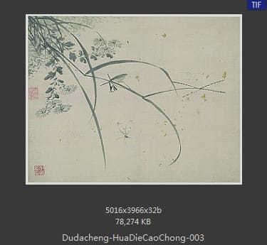 杜大成-花蝶草虫 03