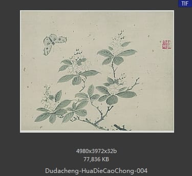 杜大成-花蝶草虫 04