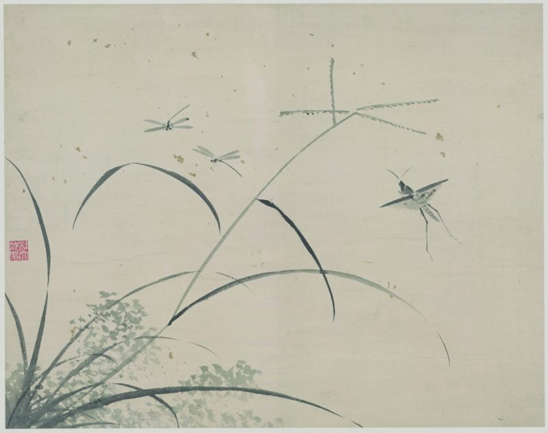 花蝶草虫 05