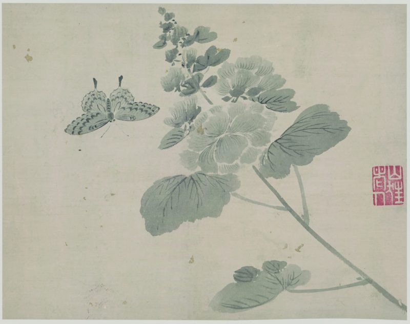 花蝶草虫 06