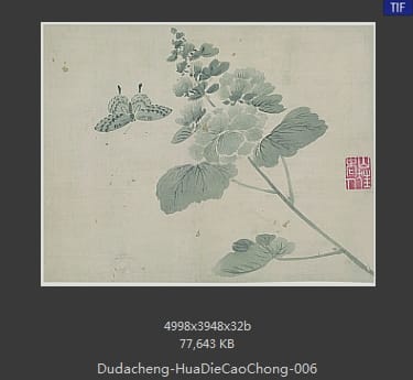 杜大成-花蝶草虫 06