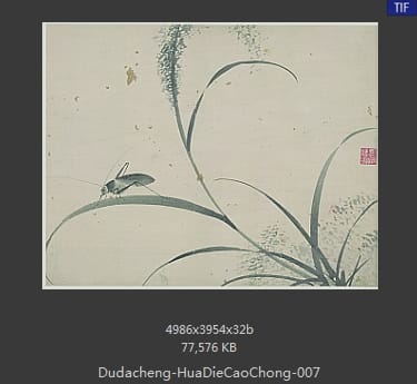 杜大成-花蝶草虫 07