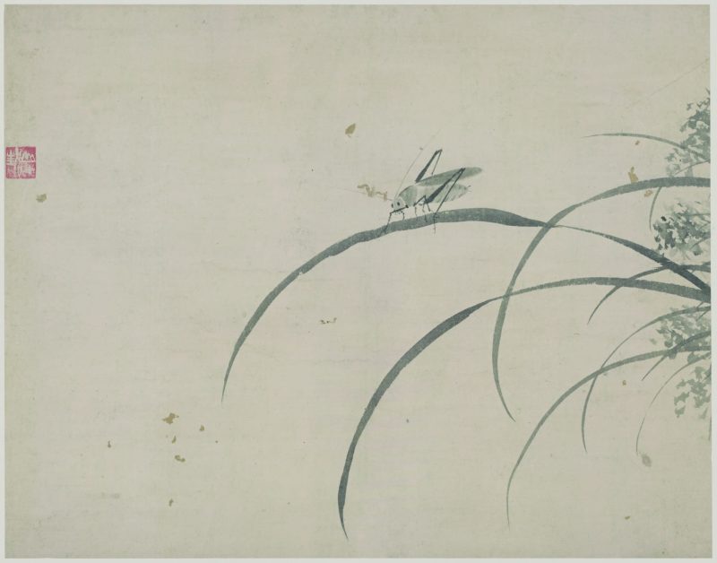 花蝶草虫 09