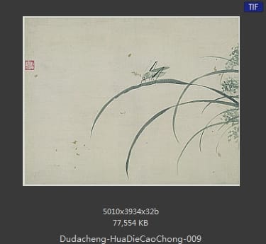 杜大成-花蝶草虫 09