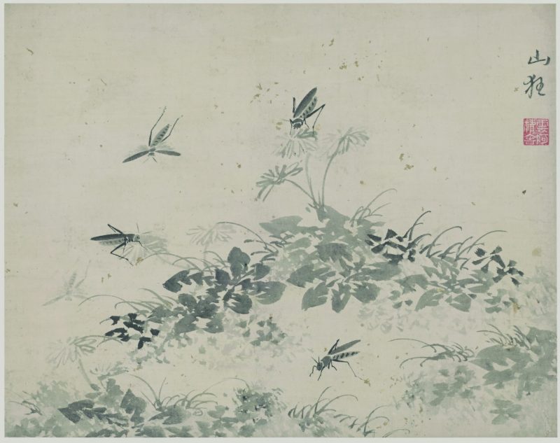 花蝶草虫 10