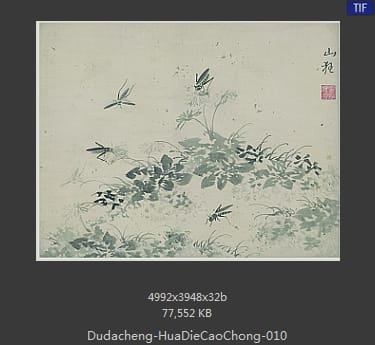 杜大成-花蝶草虫 10