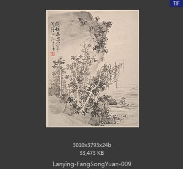 蓝瑛-仿宋元册页 09