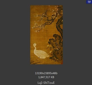 吕纪-狮头鹅图