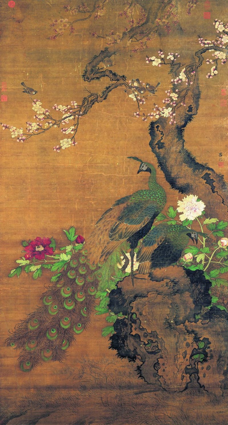 杏花孔雀图