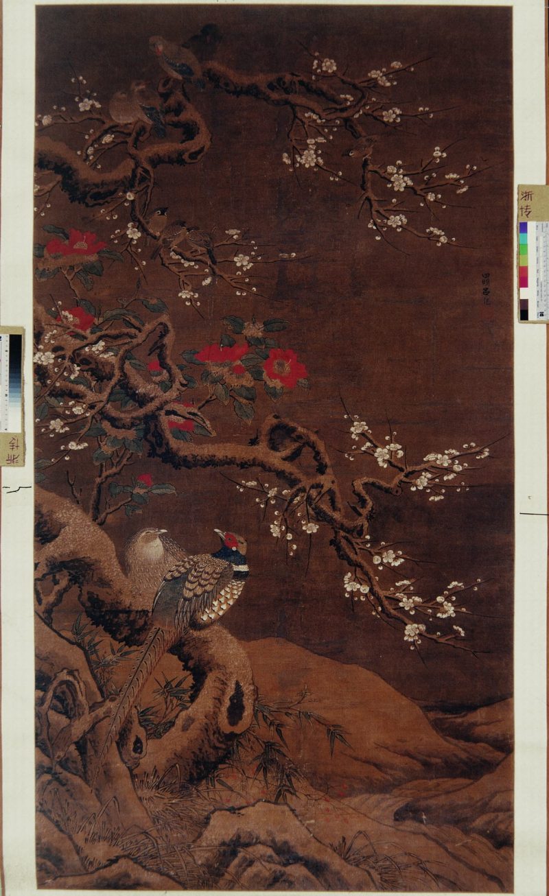 梅茶雉雀