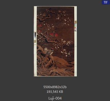 吕纪-梅茶雉雀