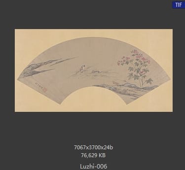 陆治-花鸟扇面