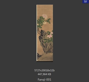 樊圻-设色牡丹